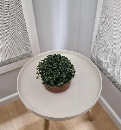 Apartment Comodidad Cerca De La Playa.. A Un Paso De Todo!